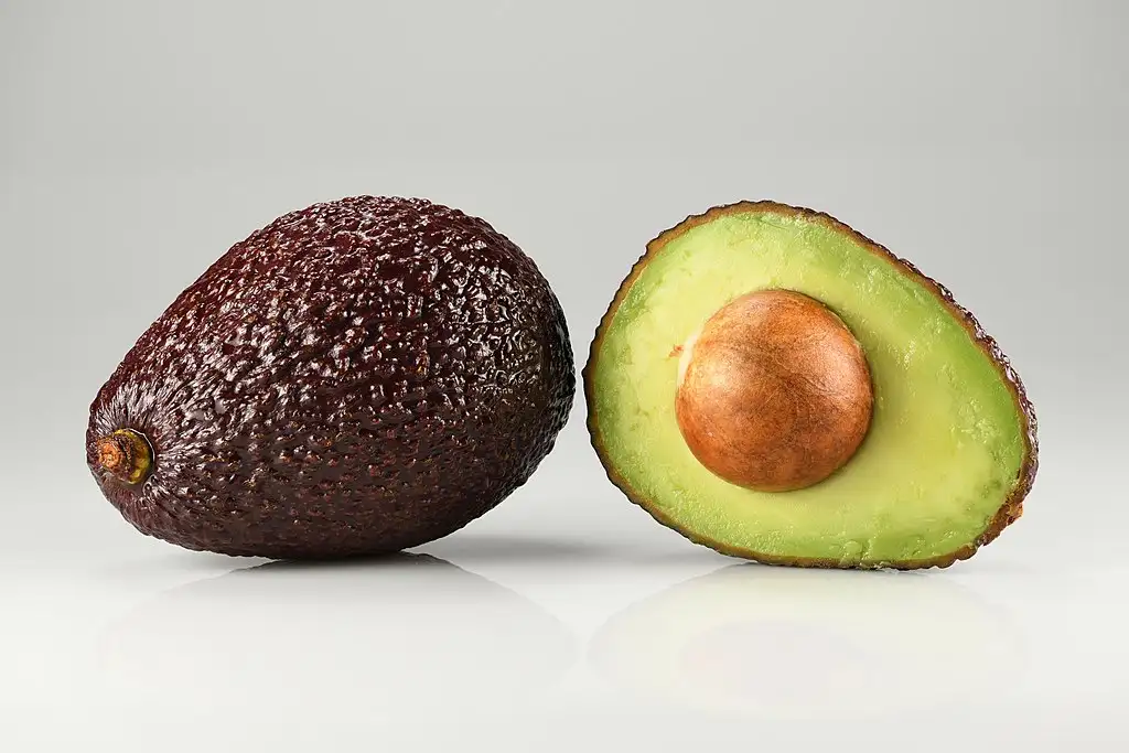 Avocado